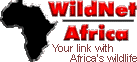WildNet Africa - Discover African wildlife with us - travel, safaris, accommodation, getaways, magazines, hotels, tours, books, images, photographs, properties, videos and more.